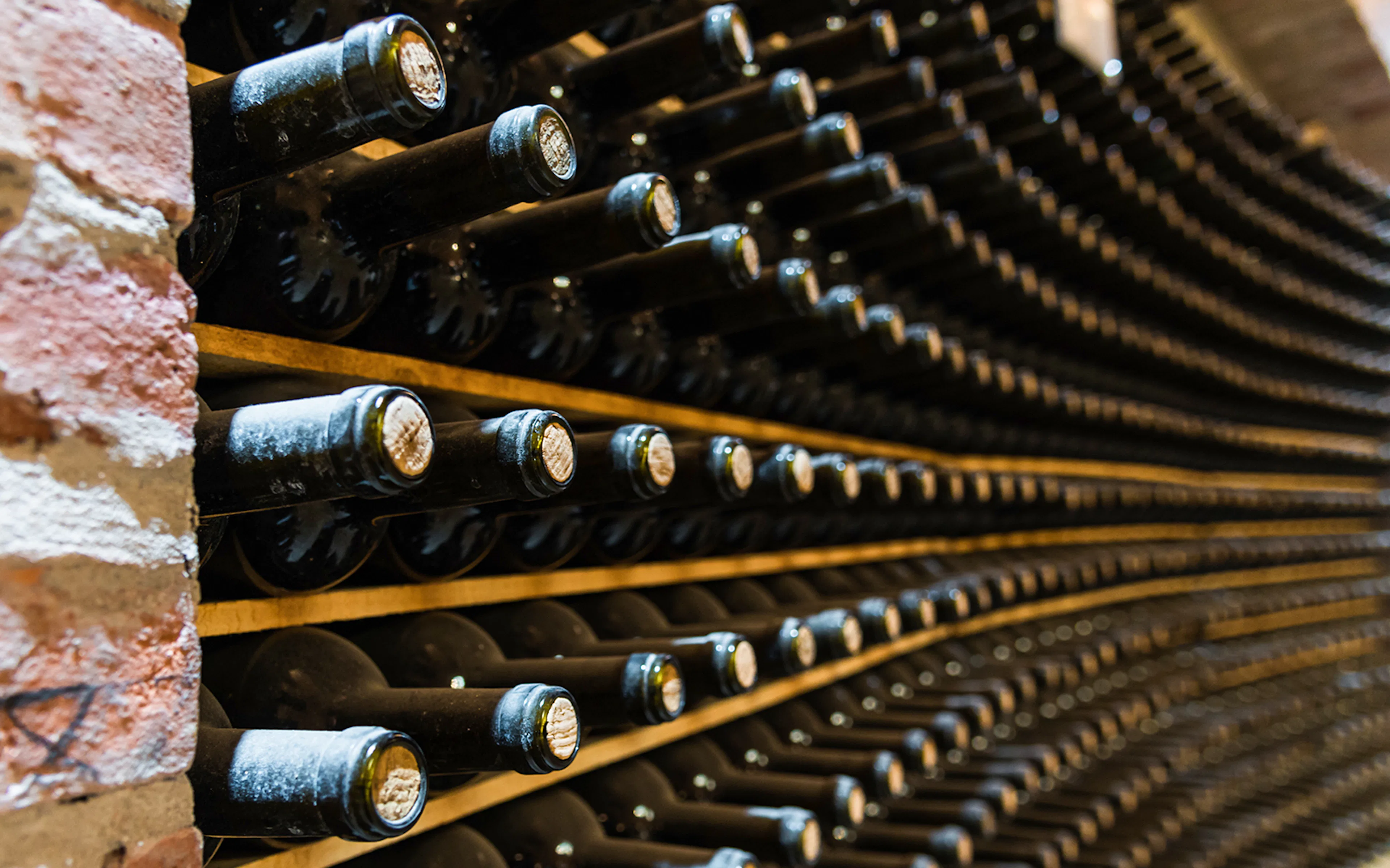 Red wine bottles stored in a wine cellar of a winery