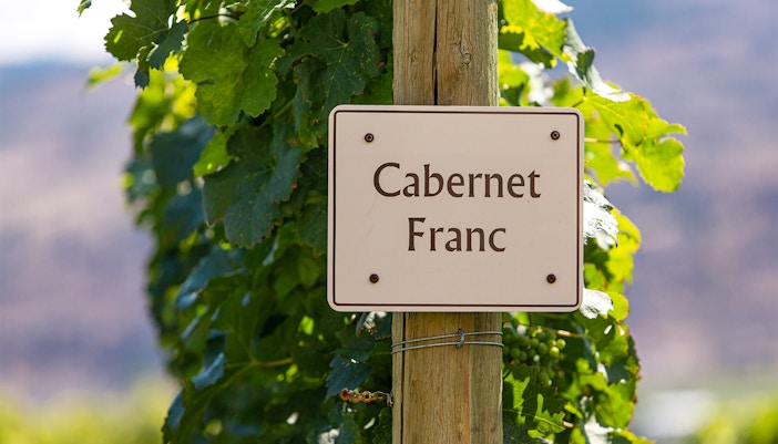 Loire Valley Wineries