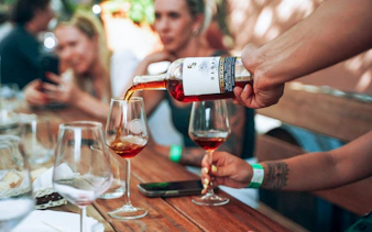 Wine being poured into glasses during Krka National Park tour.