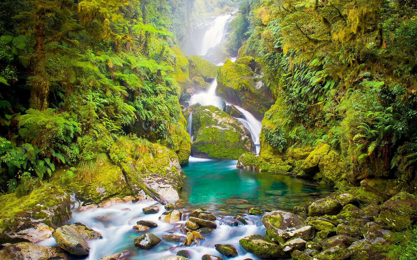 Mackay Falls waterfall on the Milford Track in New Zealand