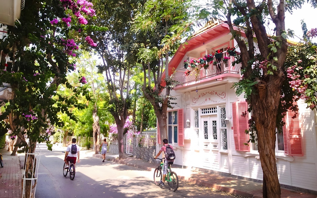 Cyclists on a tree-lined street near a pink house on Heybeliada Island, Princes Islands.