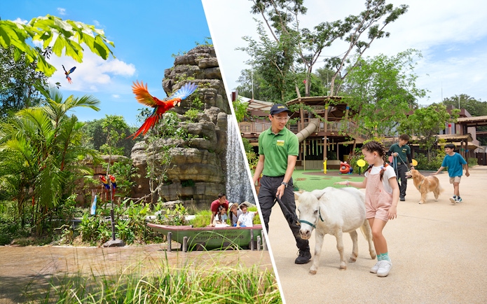 Bird Paradise aviary with colorful parrots and Singapore Zoo guide leading a child with a goat.