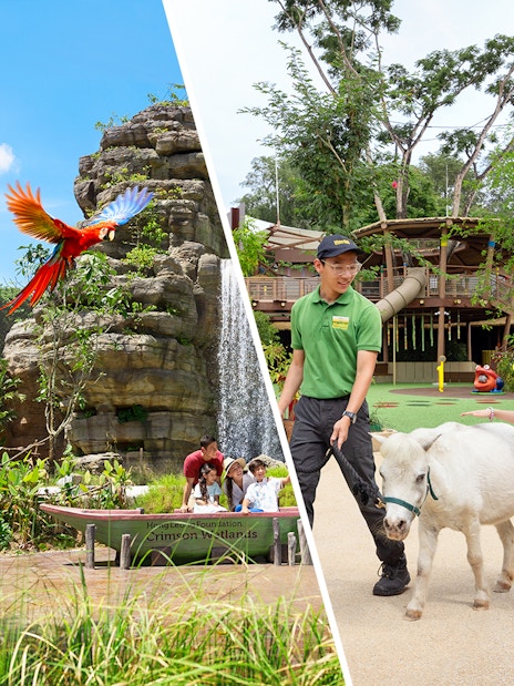 Bird Paradise aviary with colorful parrots and Singapore Zoo guide leading a child with a goat.
