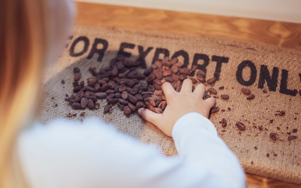 Hand touching cocoa beans on burlap at The Chocolate Story Museum.