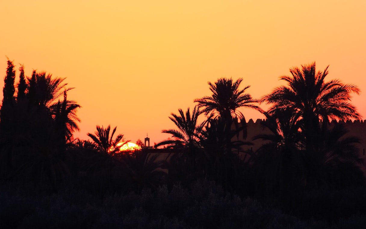 Sunset over palm trees in the Palmeraie during a buggy ride tour.
