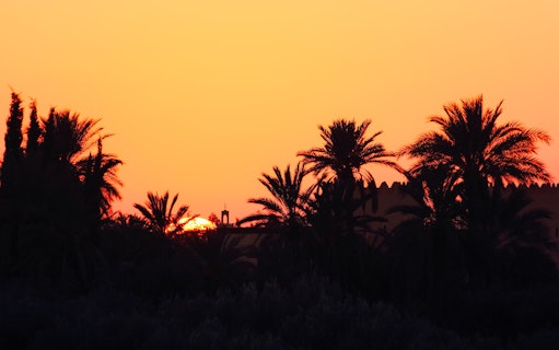 Sunset over palm trees in the Palmeraie during a buggy ride tour.