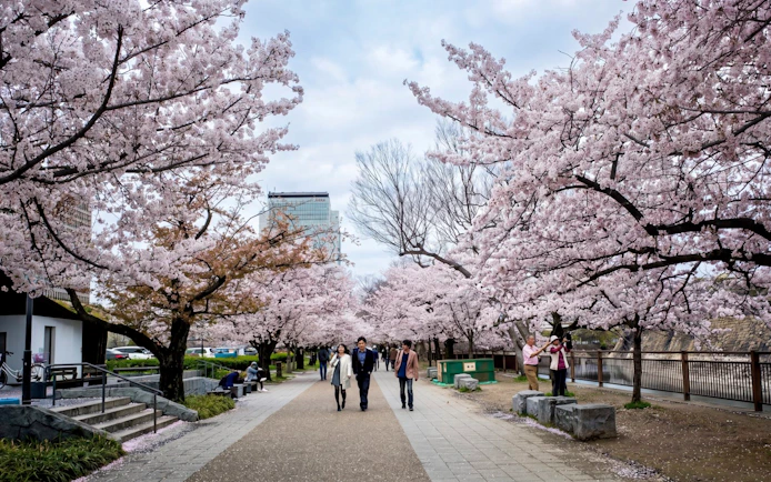Osaka Castle 3 hours Historical Walking Tour