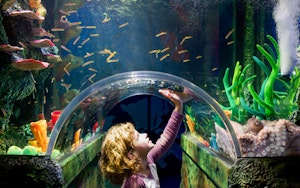 Sea Life Melbourne Aquarium: Tickets