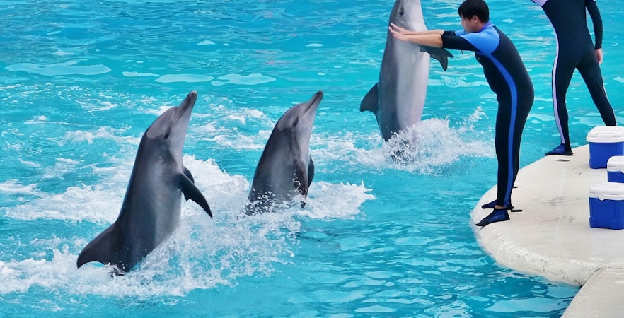 Mundo Oceánico de Yehliu