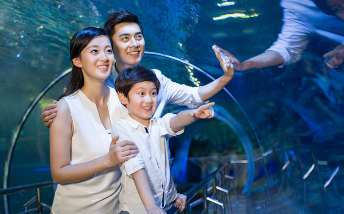 Family enjoying an underwater tunnel at an aquarium.