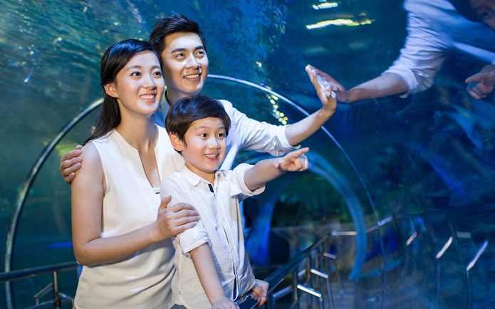 Family enjoying an underwater tunnel at an aquarium.