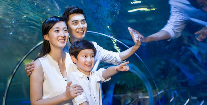 Family of three inside an aquarium