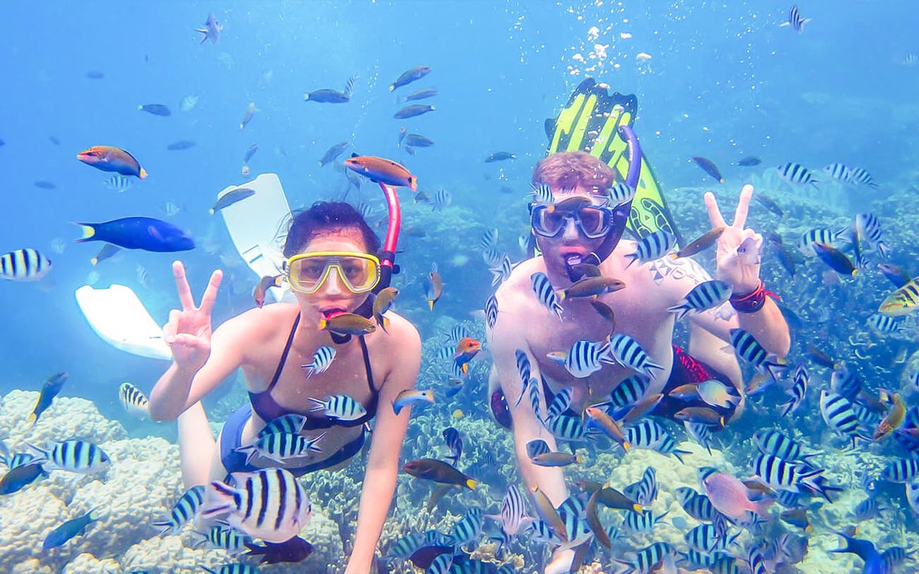 Snorkelers exploring coral reef with tropical fish in Fujairah.