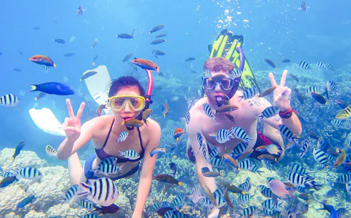 Snorkelers exploring coral reef with tropical fish in Fujairah.