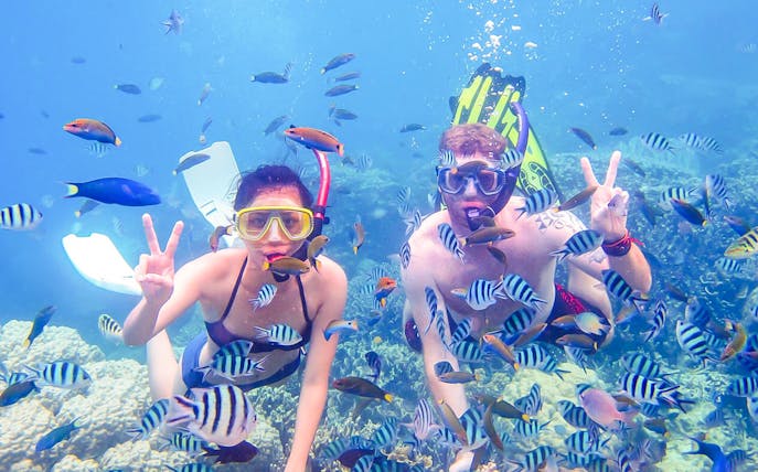 Snorkelers exploring coral reef with tropical fish in Fujairah.