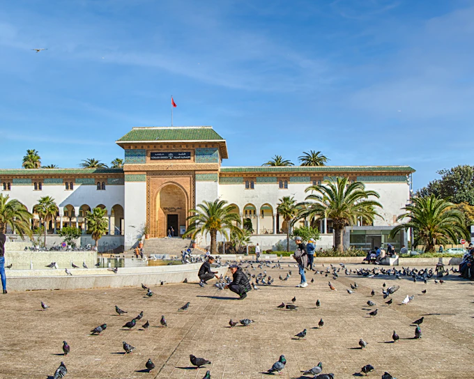 Casablanca City & Hassan II Mosque Tour for Cruise Excursions