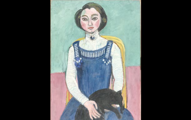 Portrait of a woman with a cat, Museum of Modern Art, Paris, France.