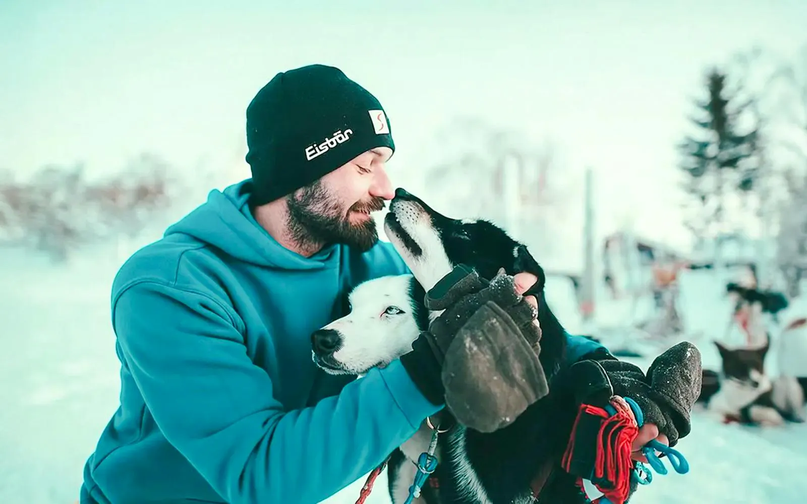 Guests interacting with huskies during self-drive sledding tour in Tromso.