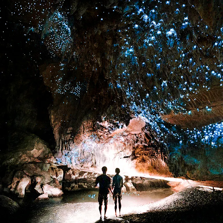 Must-try Bucket List Adventure Activities in Waitomo | Headout
