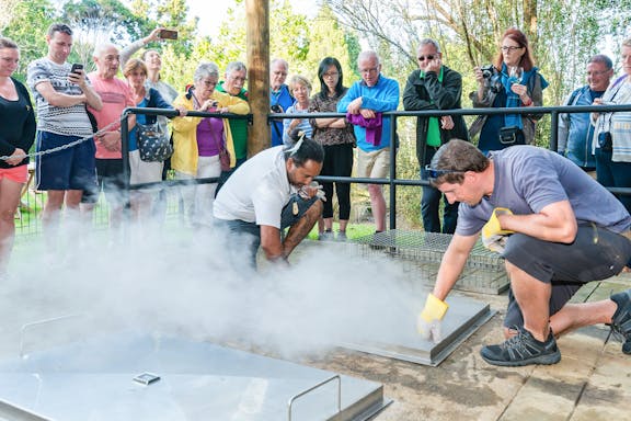2-day tickets to waitangi treaty grounds-4