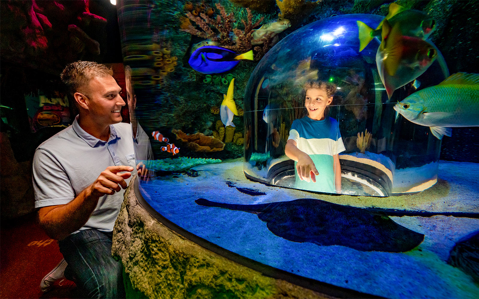 Child in pop-up bubble surrounded by fish at Sea Life Aquarium, Orlando.