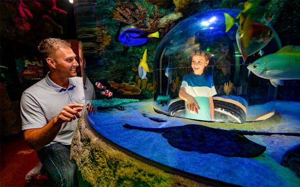 Child in pop-up bubble surrounded by fish at Sea Life Aquarium, Orlando.