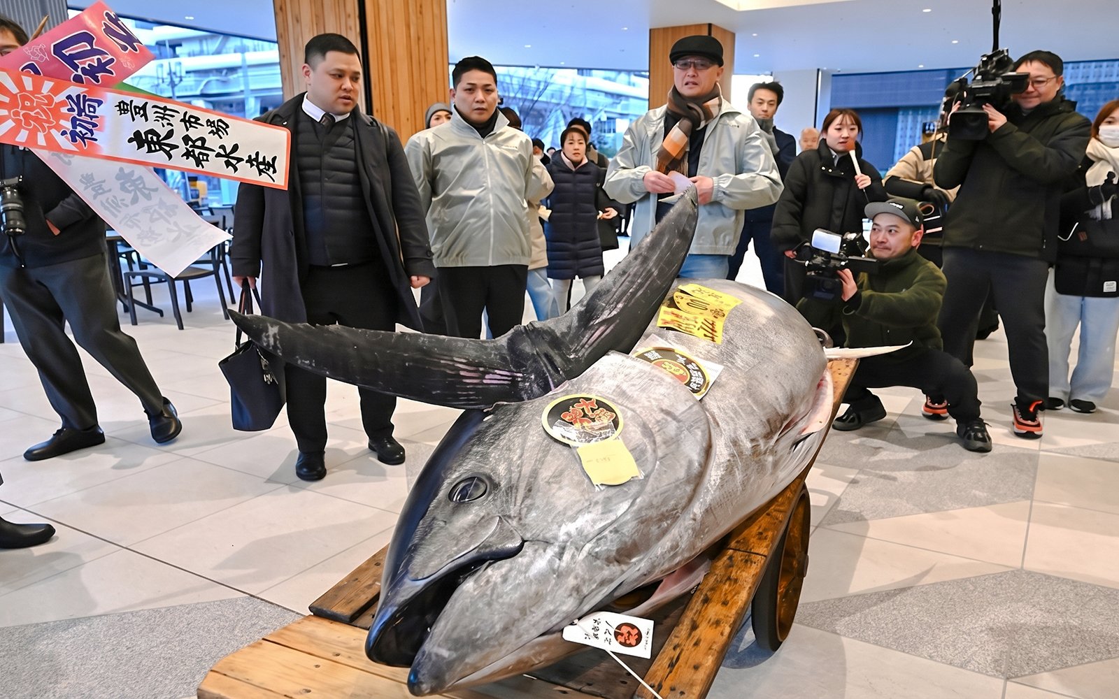 Tuna being auctioned at Toyosu Market, Tokyo, surrounded by bidders and media.
