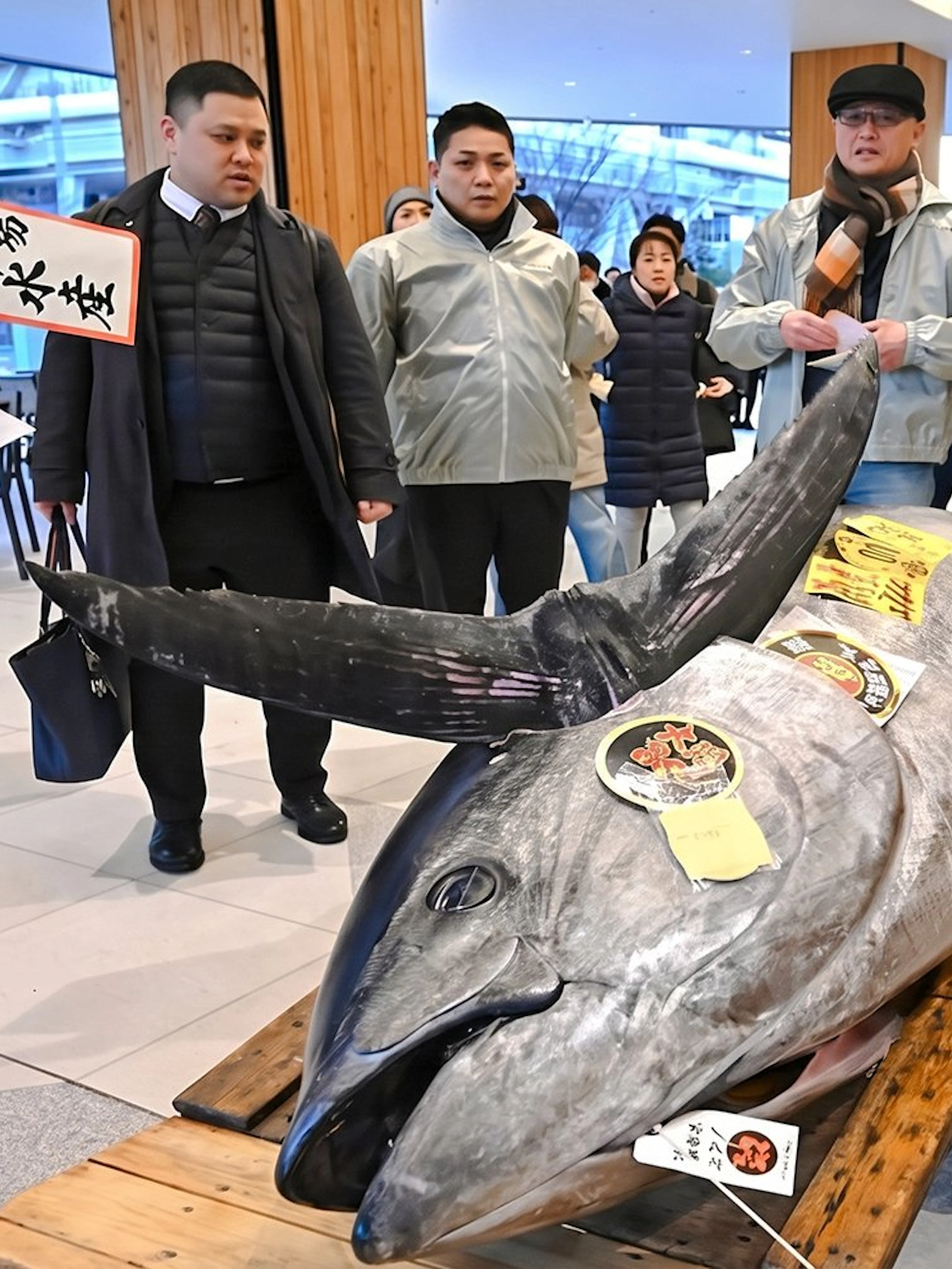 Tuna being auctioned at Toyosu Market, Tokyo, surrounded by bidders and media.