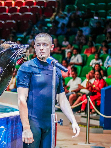 Seal performing with trainer at Dubai Dolphinarium show.