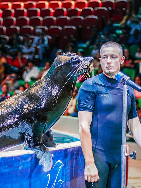 Seal performing with trainer at Dubai Dolphinarium show.