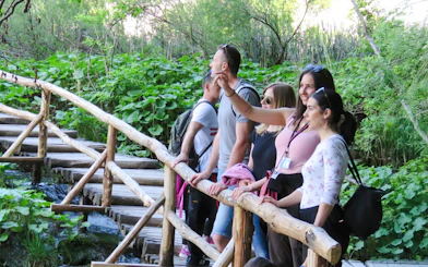 Tourists with a guide on a wooden path at Plitvice Lakes National Park.