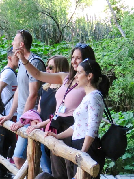 Tourists with a guide on a wooden path at Plitvice Lakes National Park.
