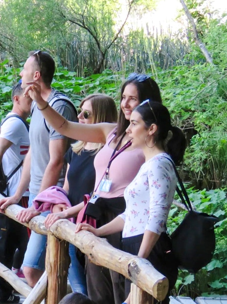 Tourists with a guide on a wooden path at Plitvice Lakes National Park.