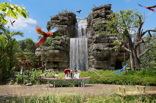 [Biglietti per Bird Paradise