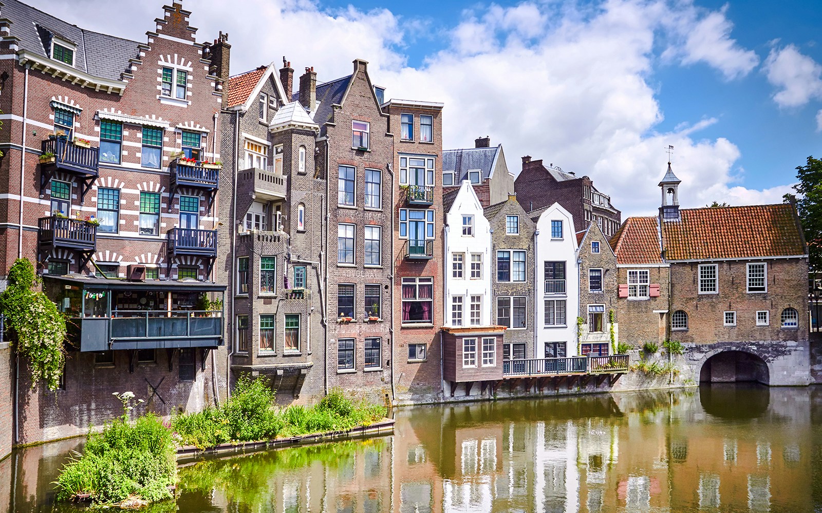 rotterdam cruises
