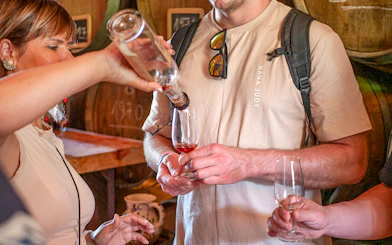 Wine tasting in a Douro Valley cellar during a tour with lunch and river cruise.