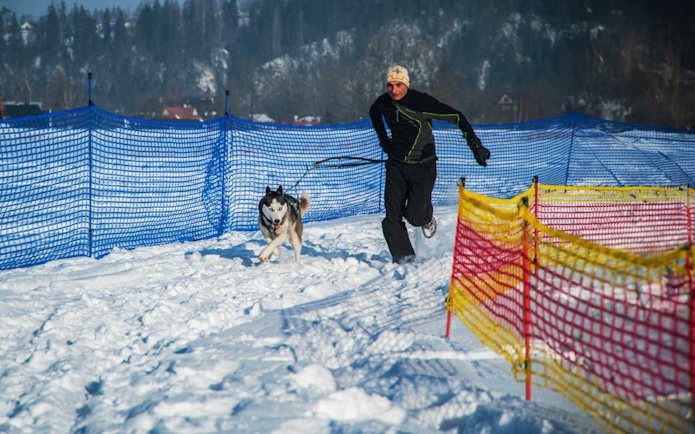 Man running with husky dog in snowy Tatra Mountains during Krakow sledding tour.