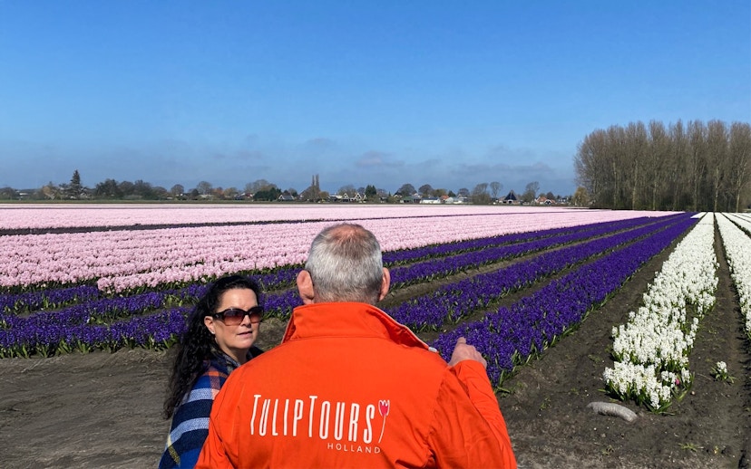 Tour guide leading a small group at colorful tulip fields in Holland.