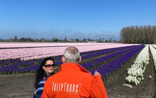 Tour guide leading a small group at colorful tulip fields in Holland.
