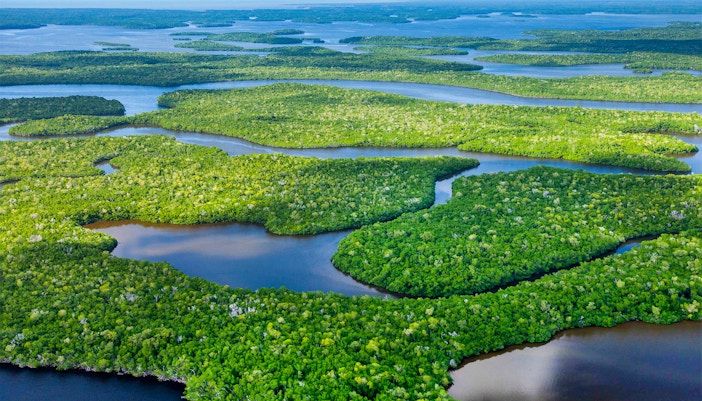 Aerial view of lush mangroves and waterways in Everglades National Park, Florida, USA.
