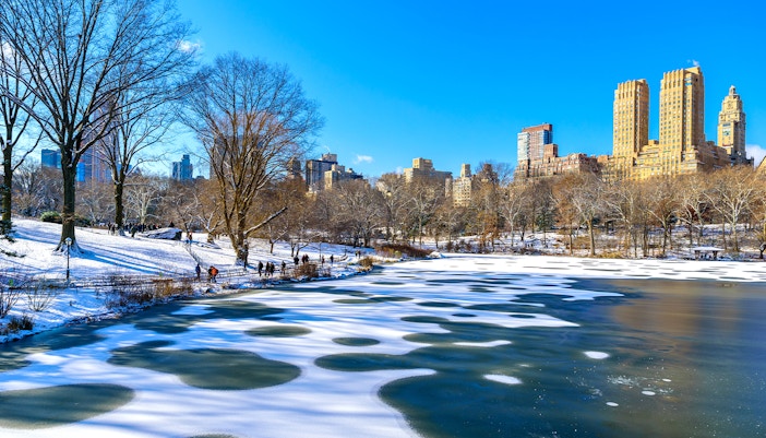 Central Park in winter with snow-covered trees and frozen lake, New York City skyline in background.