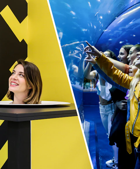 Museum of Illusions Madrid exhibit and visitors at Atlantis Aquarium Madrid.