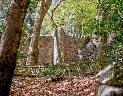 Moorish Castle ring wall surrounded by trees and fallen leaves in Sintra, Portugal.