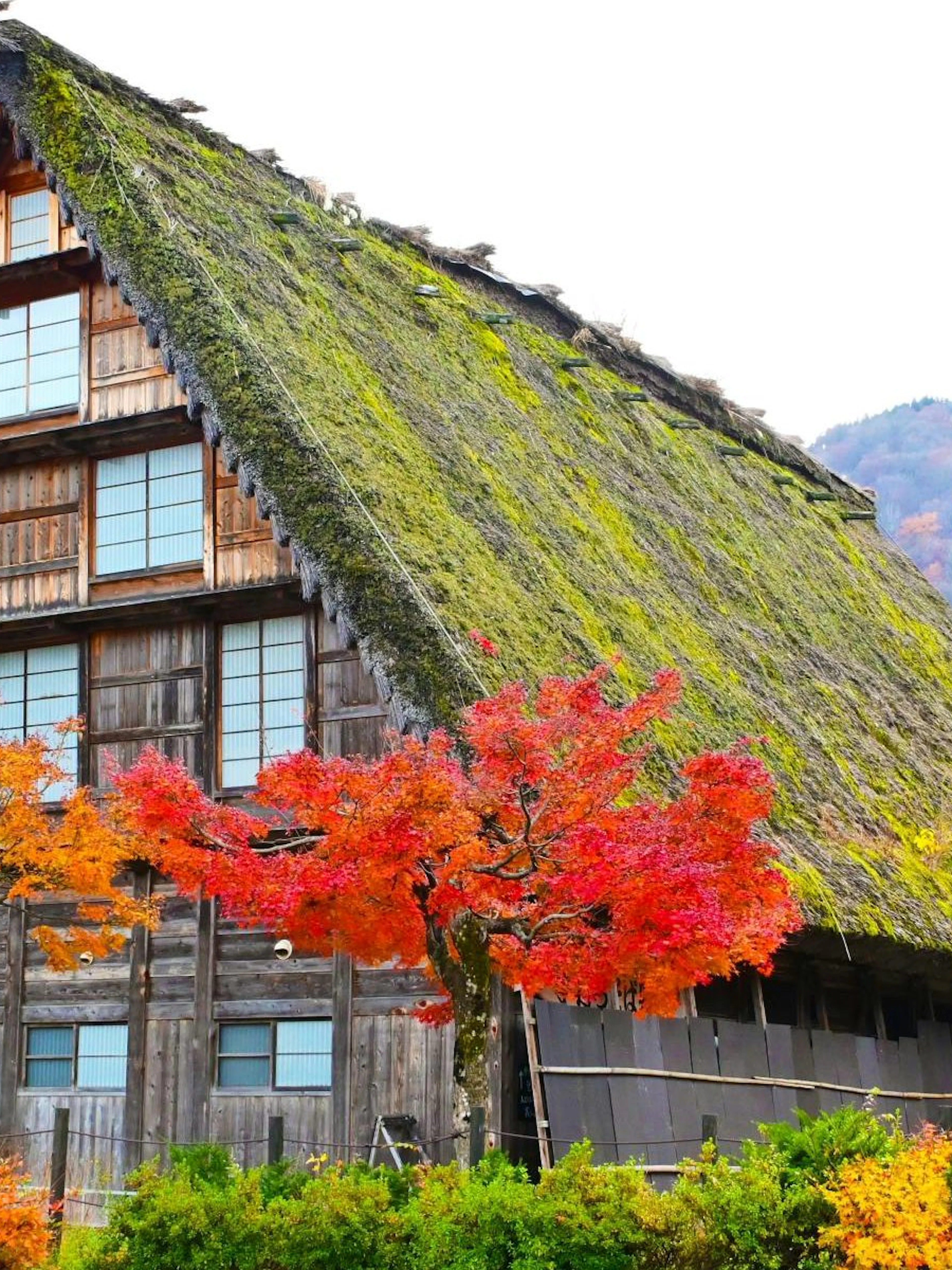 da nagoya: tour in giornata a shirakawa-go e hida takayama-1
