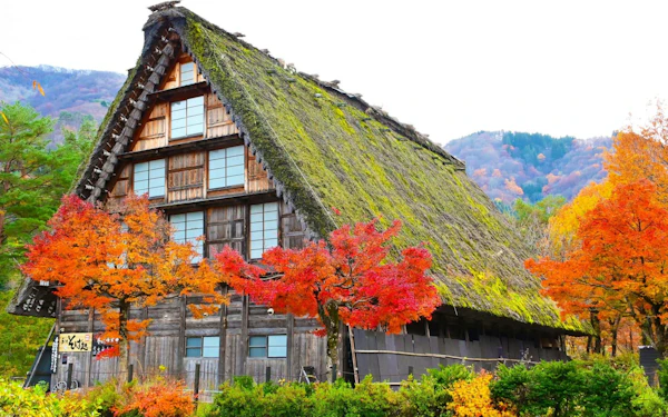 From Nagoya: Shirakawa-go & Hida Takayama Day Trip