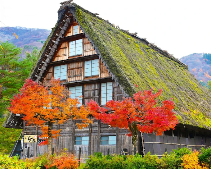 From Nagoya: Shirakawa-go & Hida Takayama Day Trip