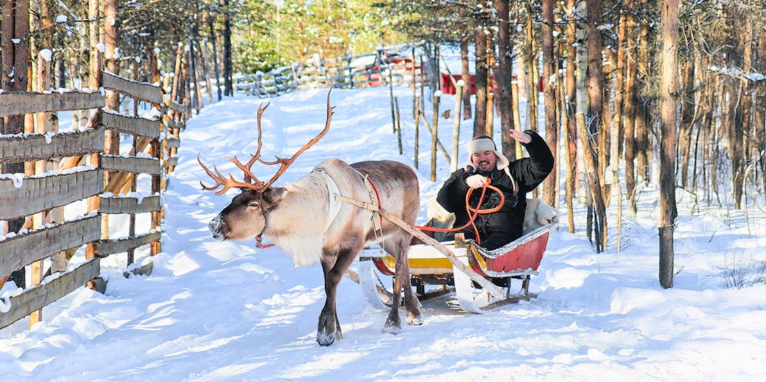 Reindeer Sledding