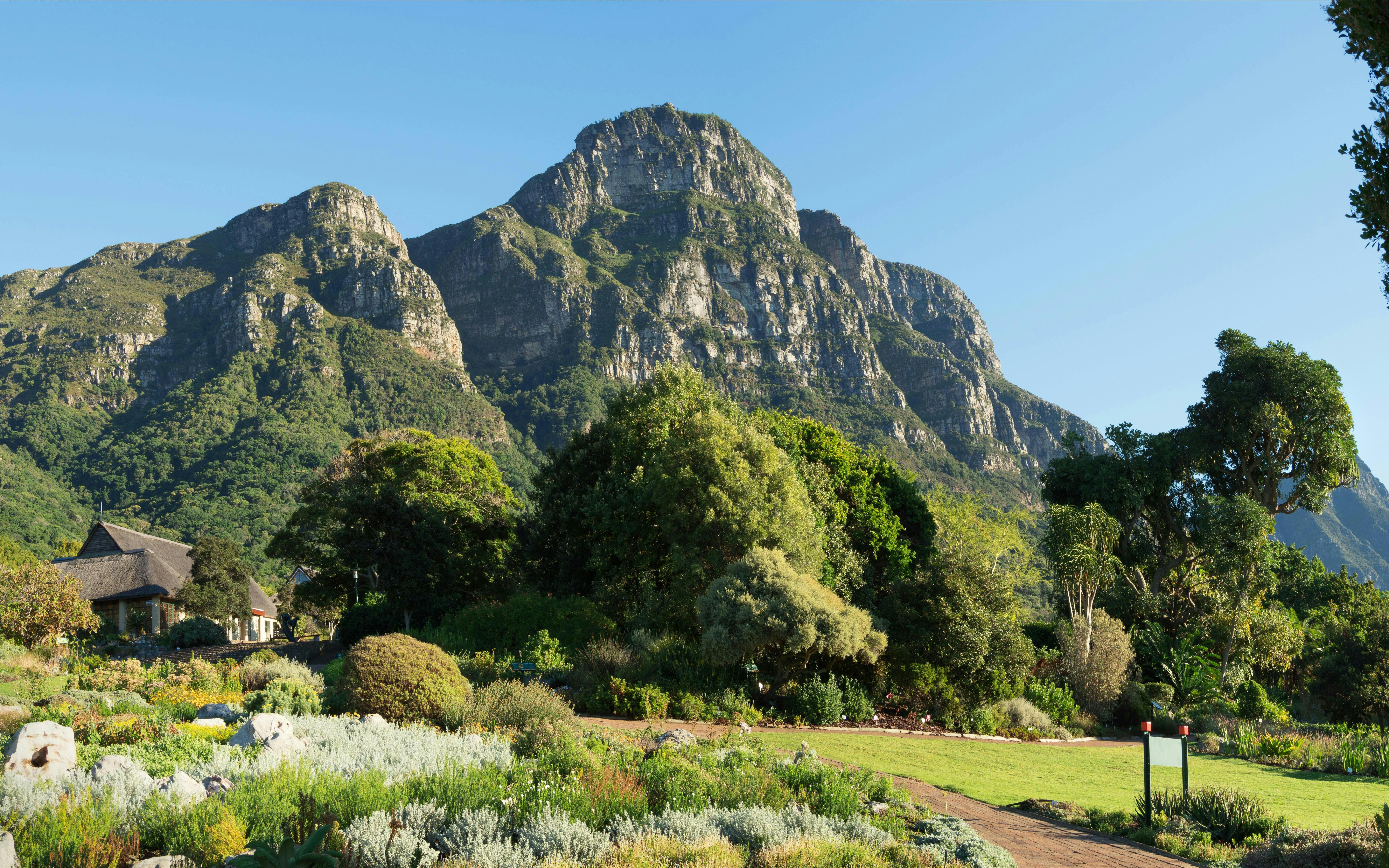 Kirstenbosch National Botanical Garden with Table Mountain backdrop.