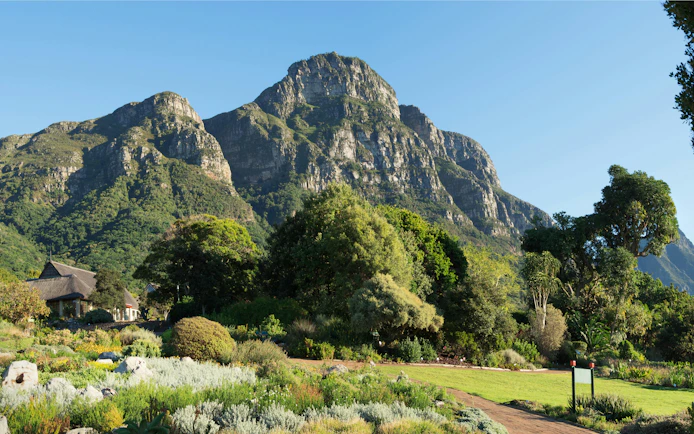 Kirstenbosch National Botanical Garden with Table Mountain backdrop.