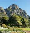Kirstenbosch National Botanical Garden